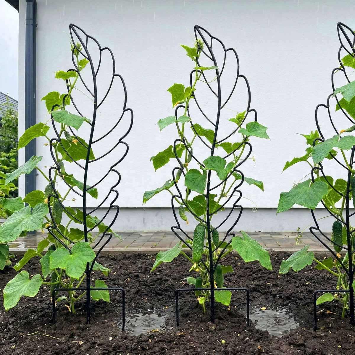 Rankgitter Blatt 3er-Set Schwarz von Relaxdays
