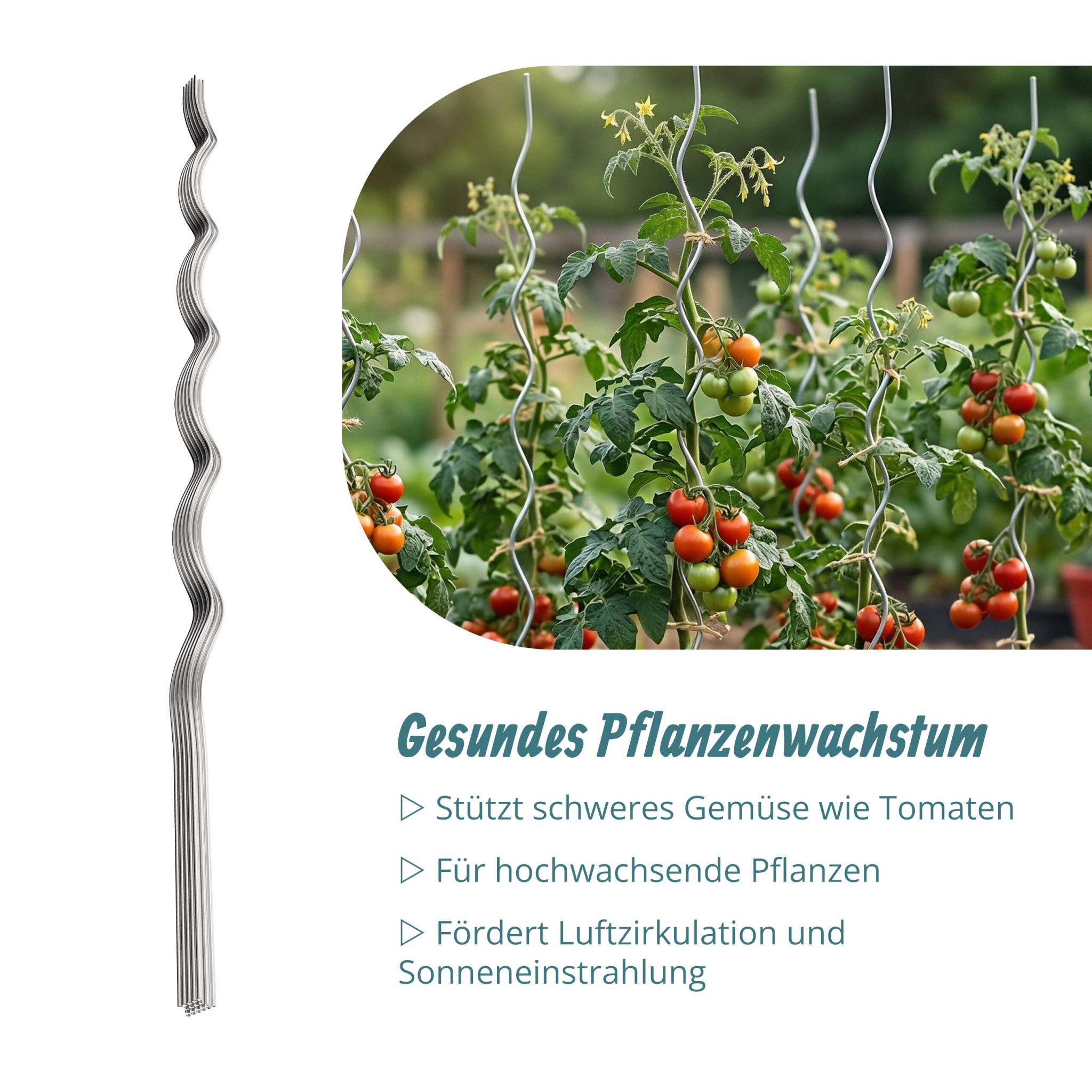 Tomaten Spiralstab Set 150cm Silber von Relaxdays