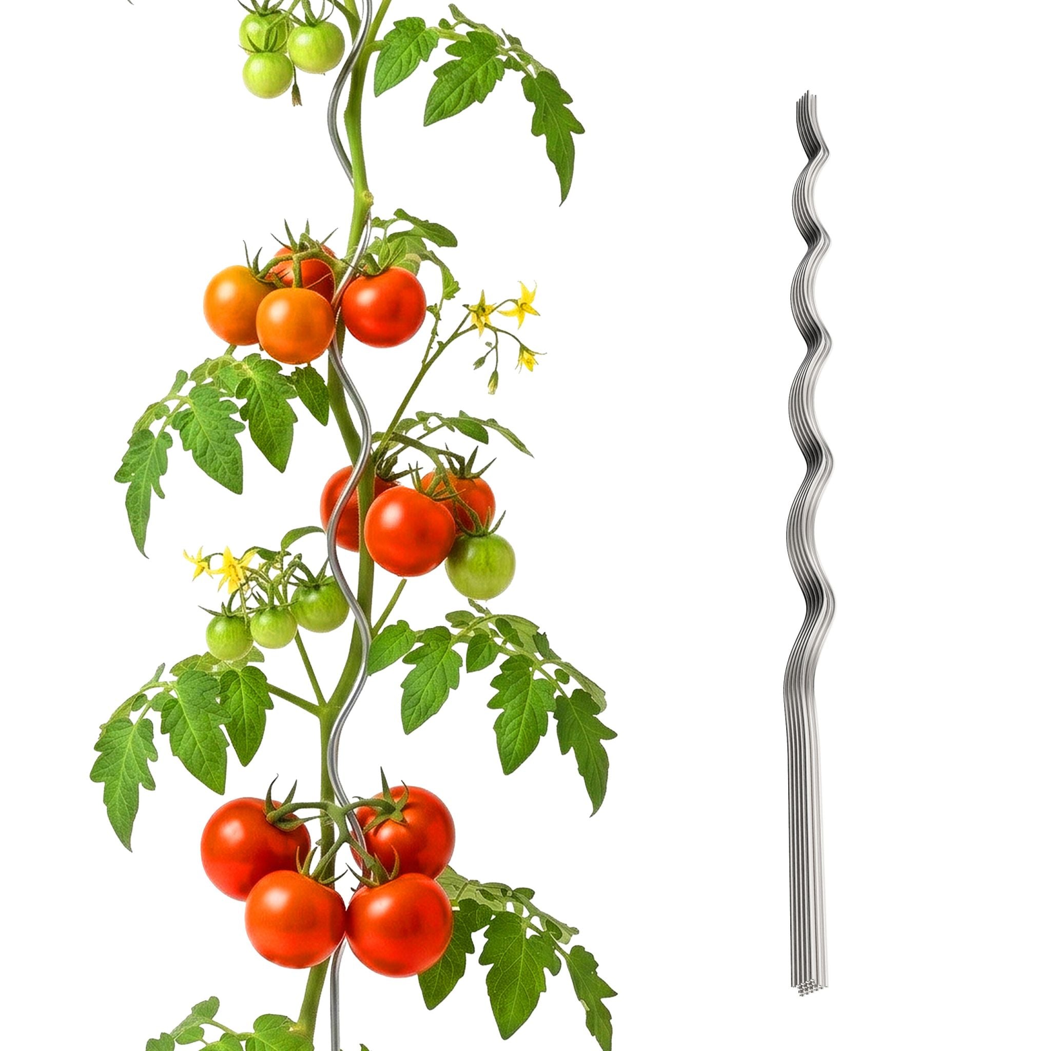 Tomaten Spiralstab Set 170cm Silber von Relaxdays