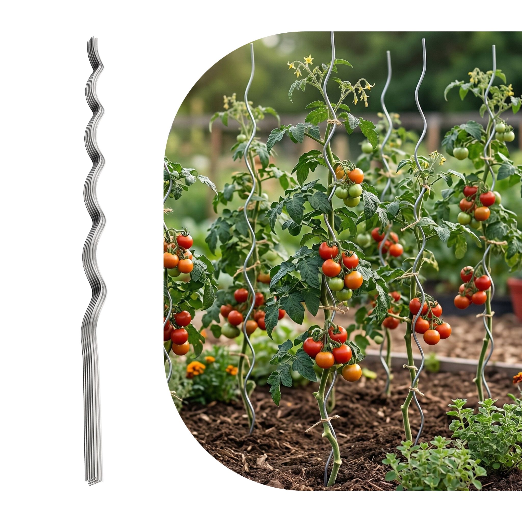 Tomaten Spiralstab Set 170cm Silber von Relaxdays