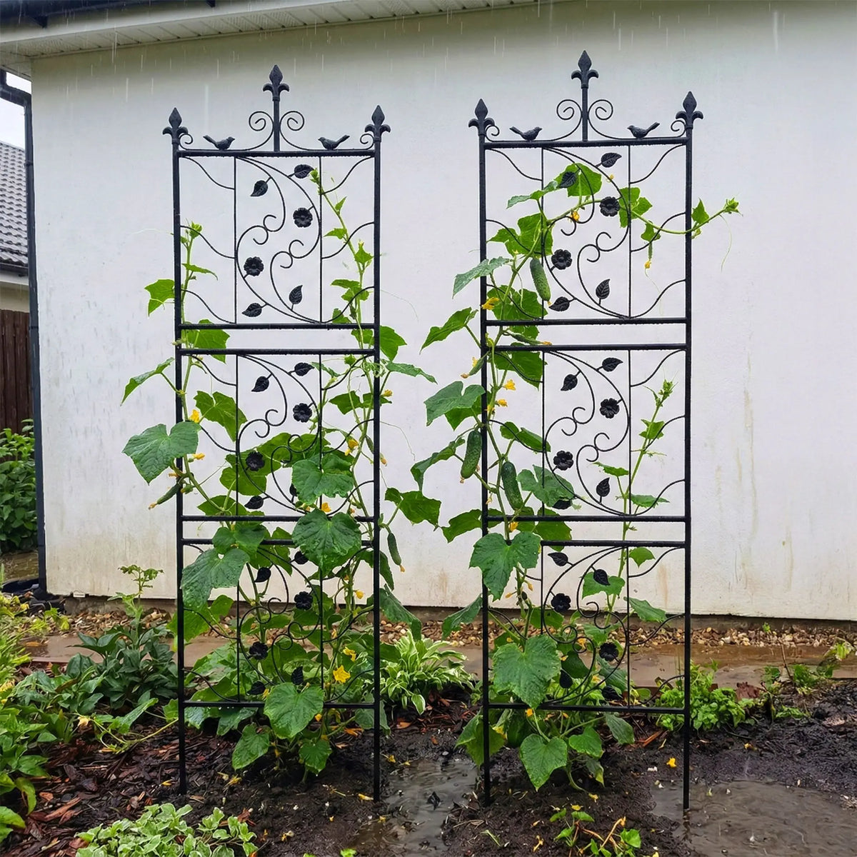 Rankgitter Vogel 2er-Set Schwarz von Relaxdays