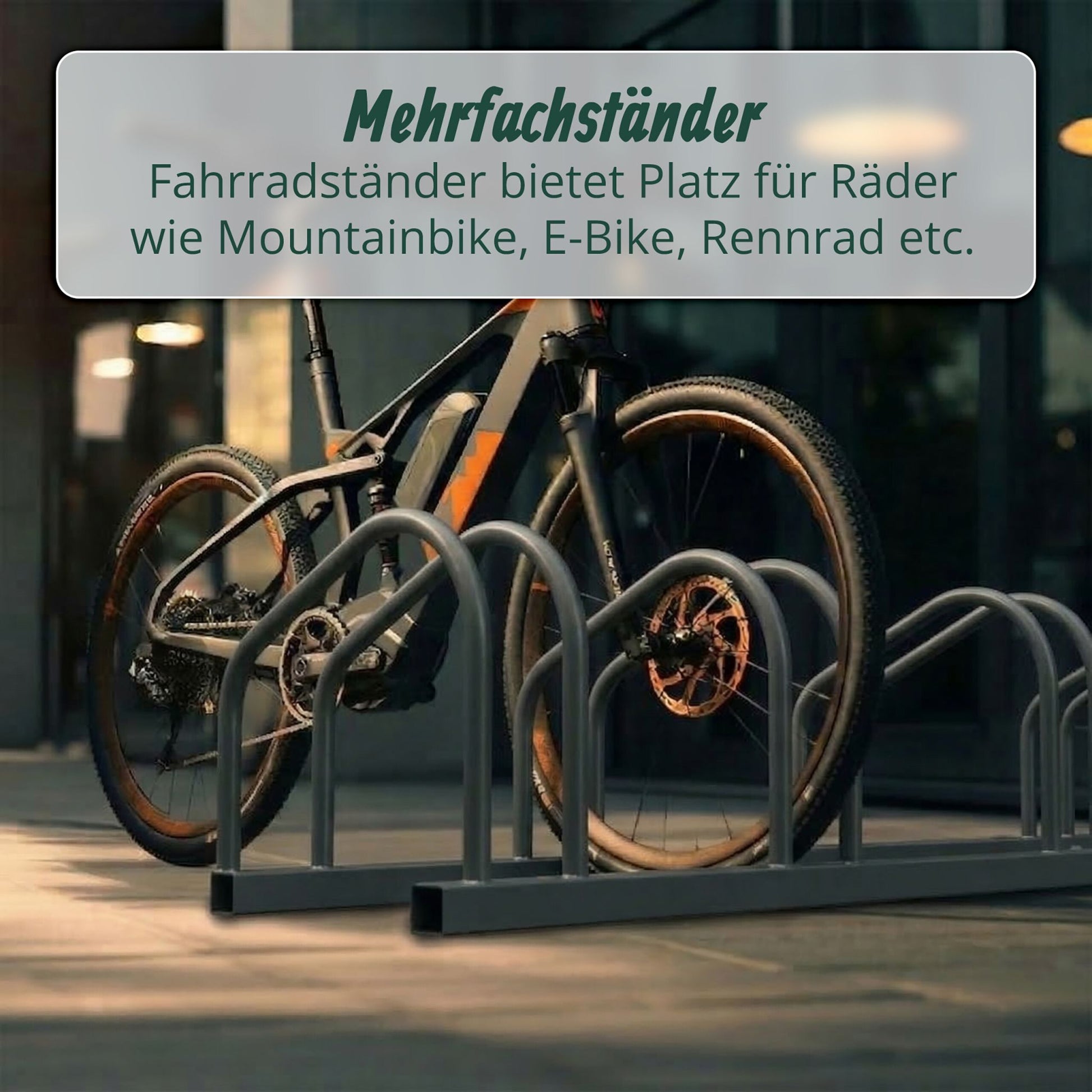 Fahrradständer für Boden und Wandmontage Anthrazit von Relaxdays