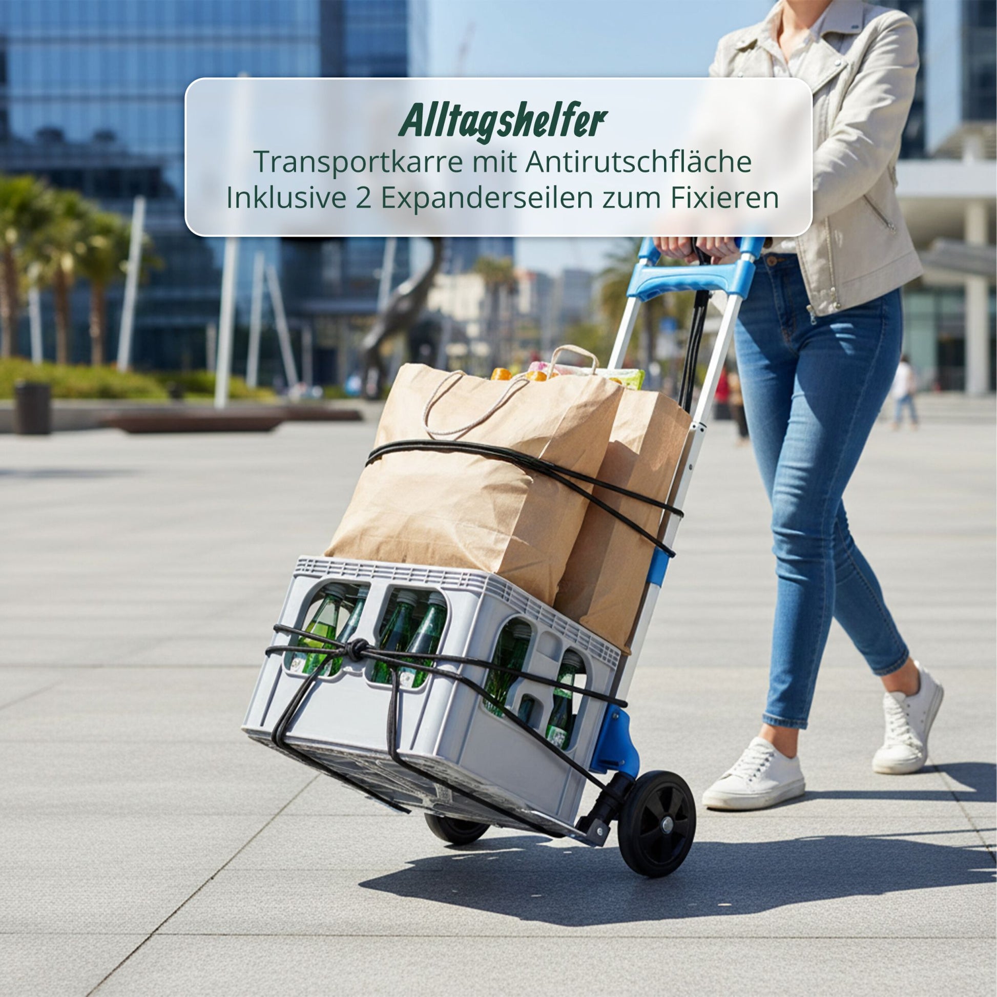 Sackkarre klappbar bis 70 kg Schwarz-Silber von Relaxdays