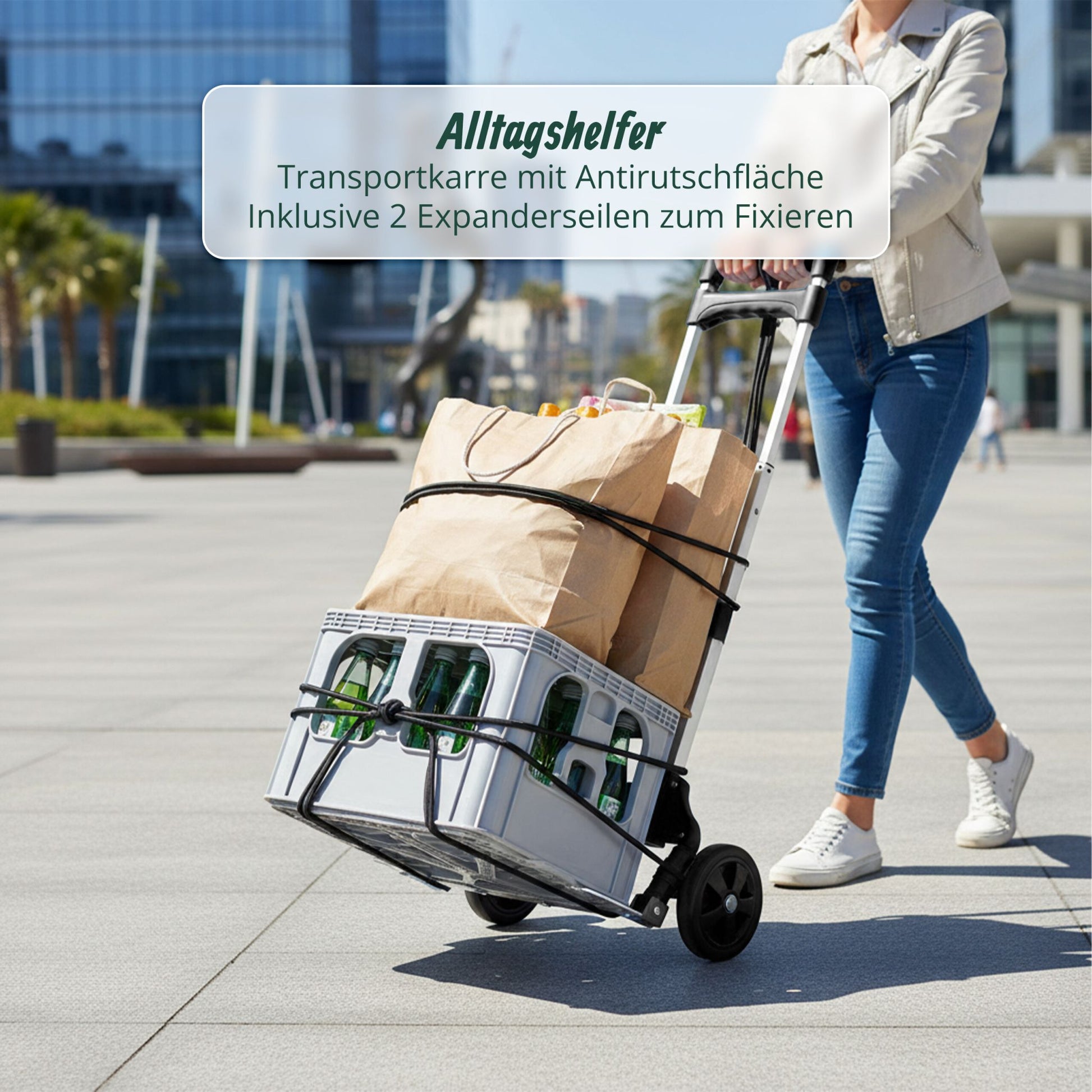Sackkarre klappbar bis 70 kg Silber von Relaxdays