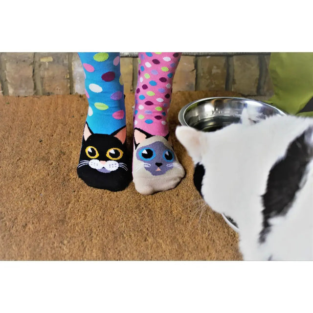 Einzelne Socken im 6er Pack, CATWALK Bunte Katzen, Gr. 37-42, mit Geschenkbox von United Oddsocks