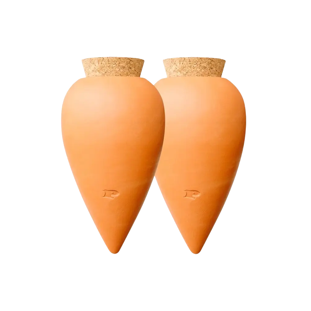 Bewässerungskegel Olla Terrakotta (2er Set) von Pepin