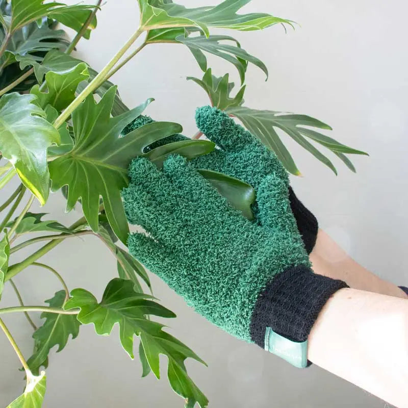 Staubhandschuhe für Pflanzen von Botanopia
