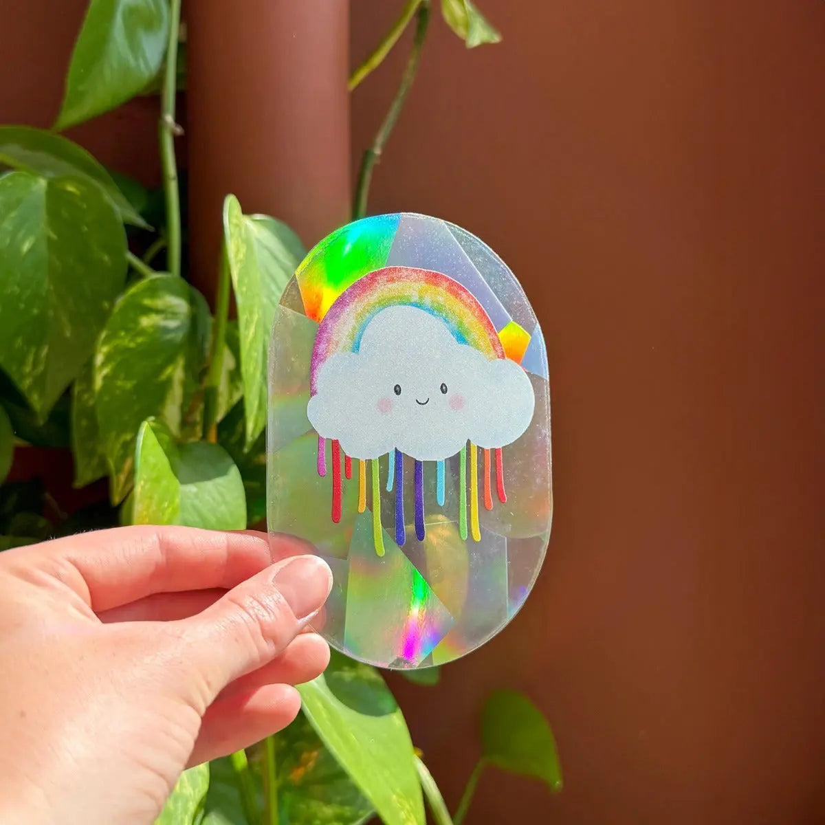 Sonnenfänger Fenstersticker Farbenregen Drizzle von Botanopia
