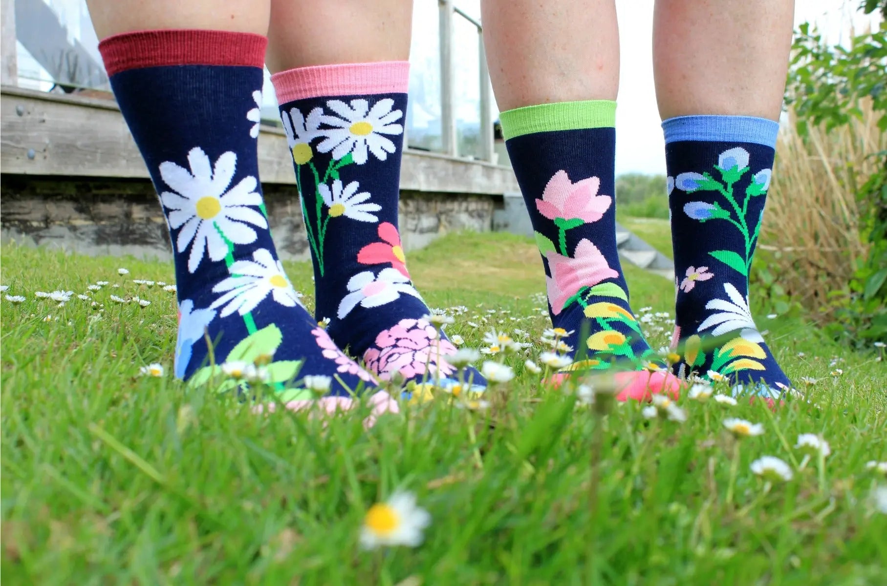 Einzelne Socken im 6er Pack, BLOOMING AMAZING Bunter Garten, Gr. 37-42, mit Geschenkbox von guteszeug.ch