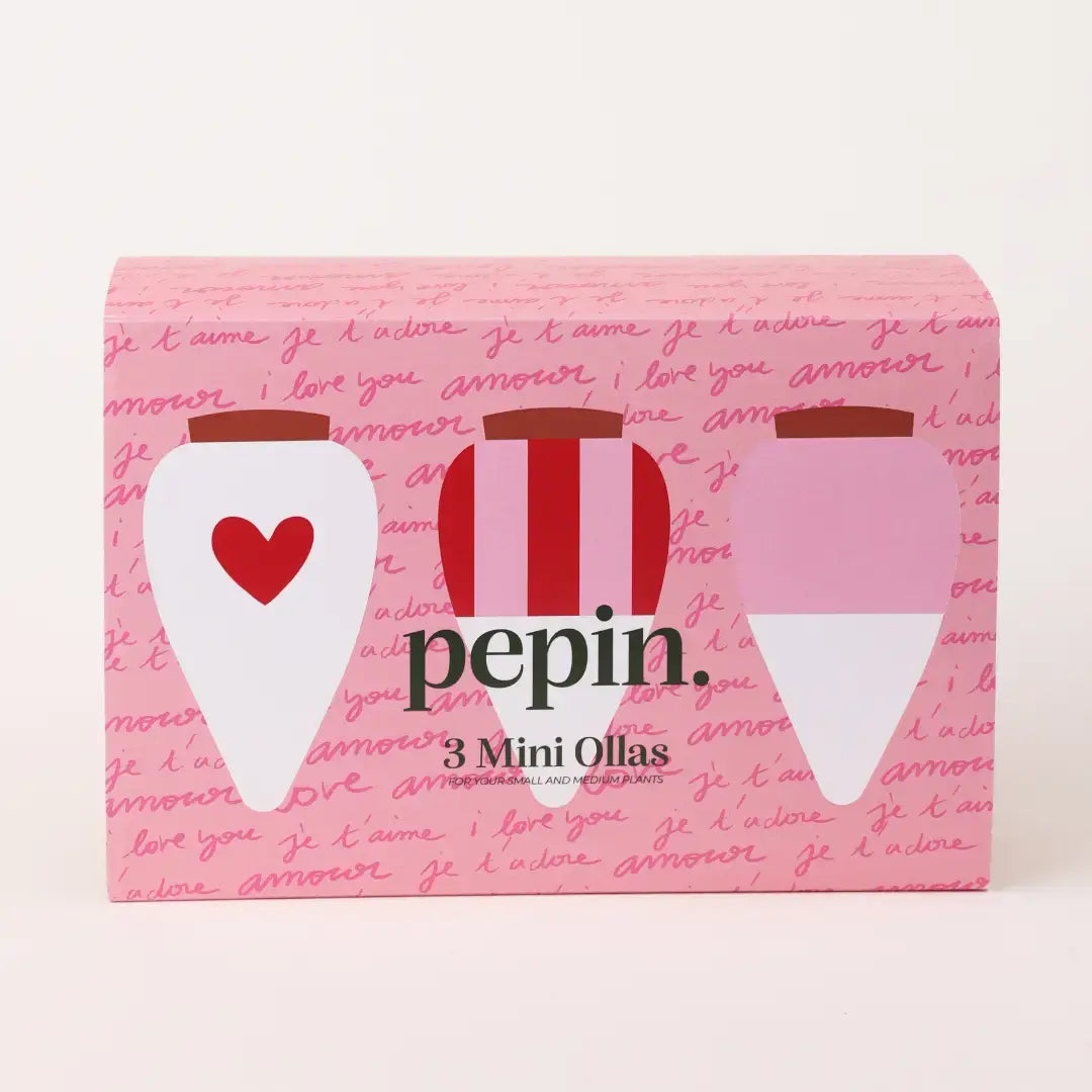 Bewässerungskegel Mini Ollas Rosa Herzen (3er Set) von Pepin