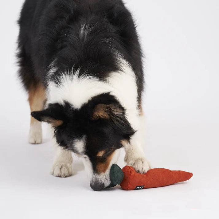 Schnüffelspielzeug Rüebli von Redoggo