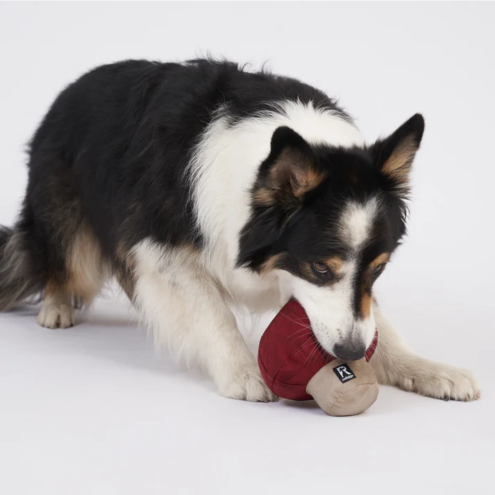 Schnüffelspielzeug Pilz von Redoggo