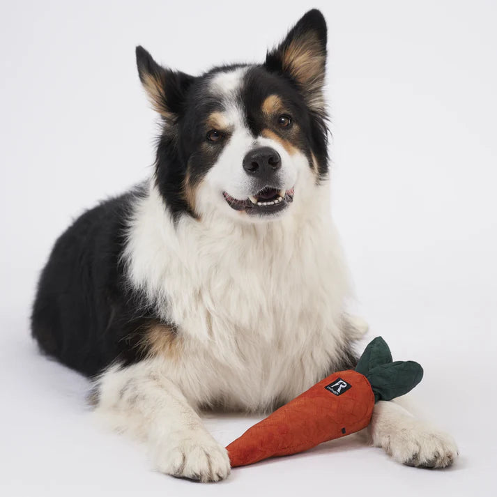 Schnüffelspielzeug Rüebli von Redoggo