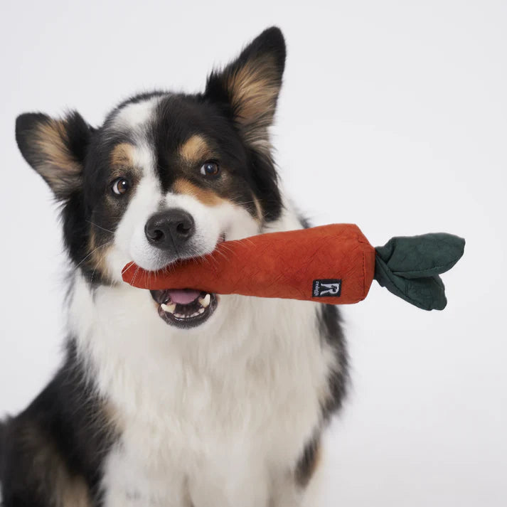 Schnüffelspielzeug Rüebli von Redoggo