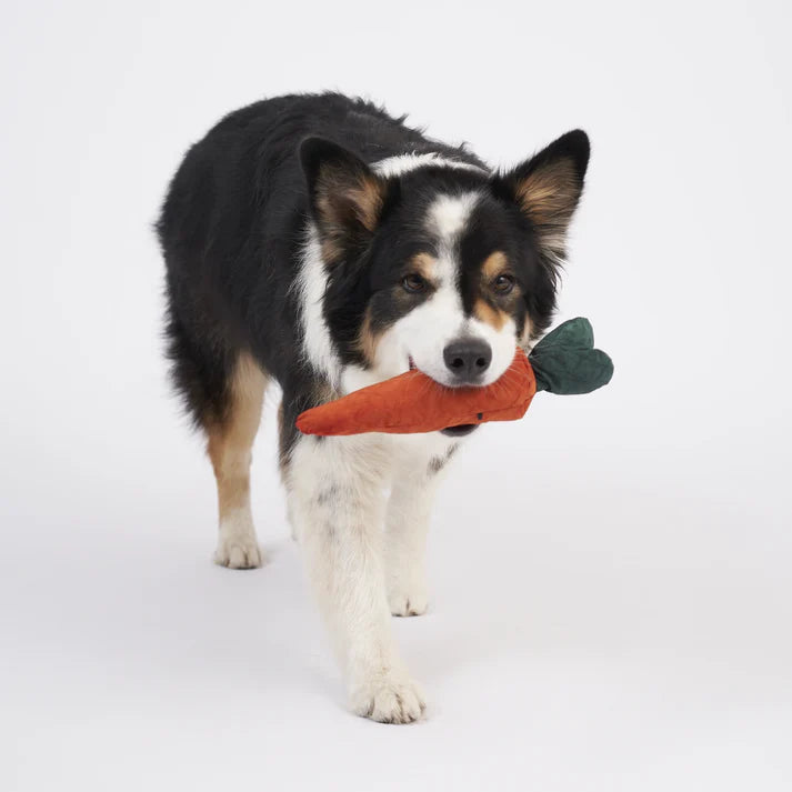 Schnüffelspielzeug Rüebli von Redoggo