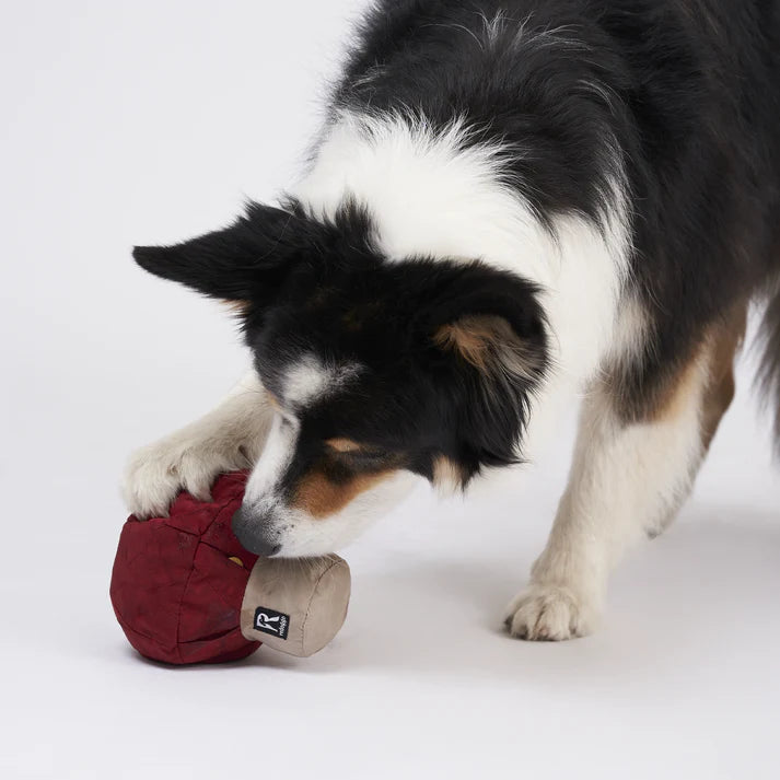 Schnüffelspielzeug Pilz von Redoggo