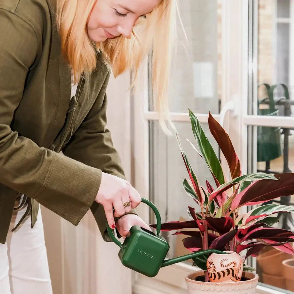 Bewässerungskegel Olla Tiger Camille Gressier von Pepin