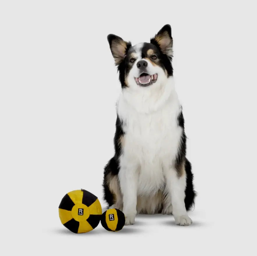 Ball Aktivspielzeug Gross von Redoggo