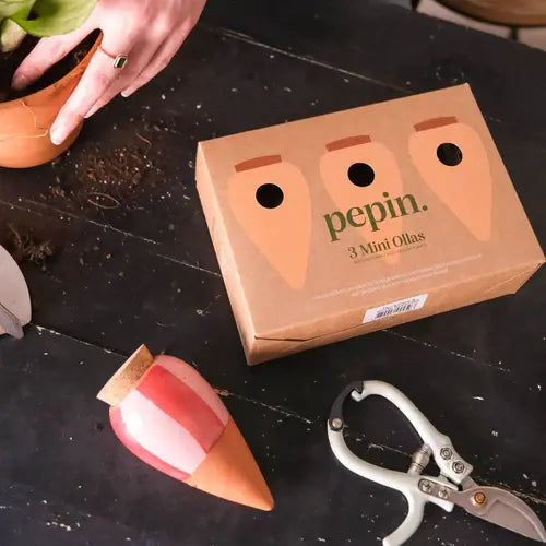 Bewässerungskegel Mini Ollas Streifen (3er Set) von Pepin