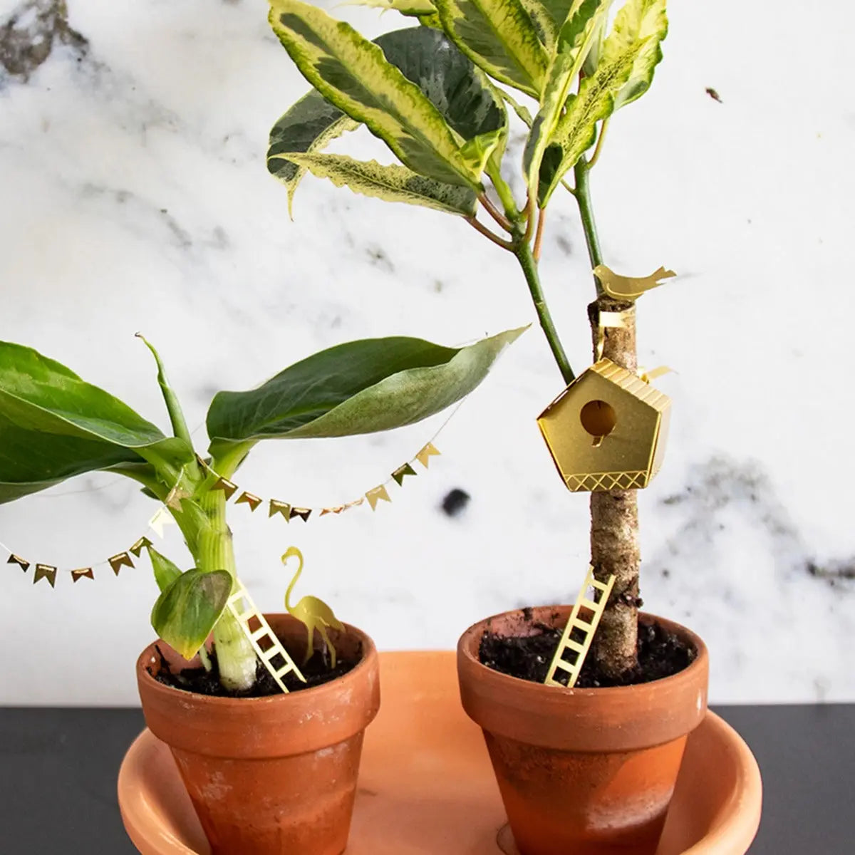 Mini-Vogelhaus für Pflanzentöpfe Tiny Birdhouse Gold von Botanopia