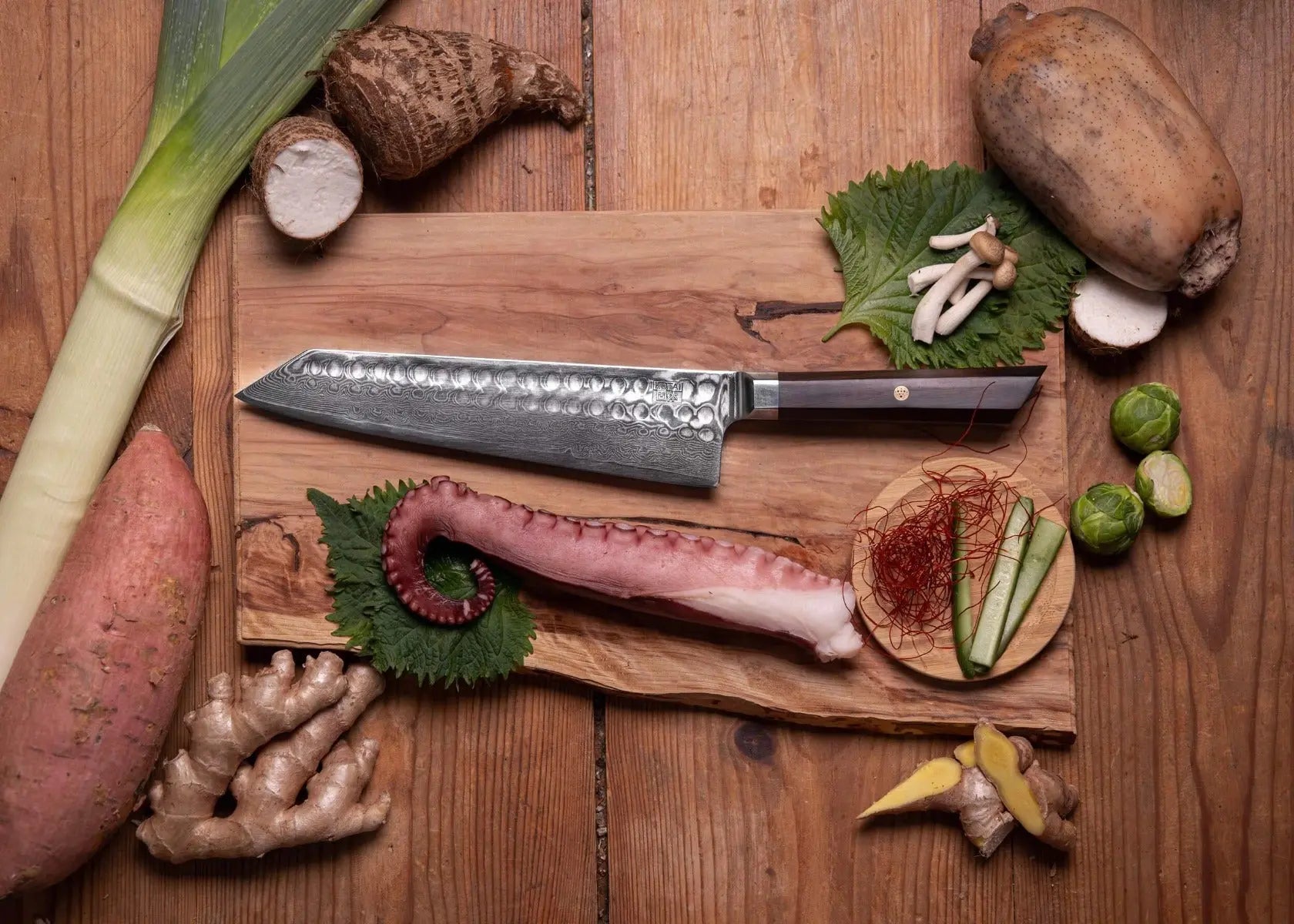 Kiritsuke Kochmesser Damas Pakka von KOTAI