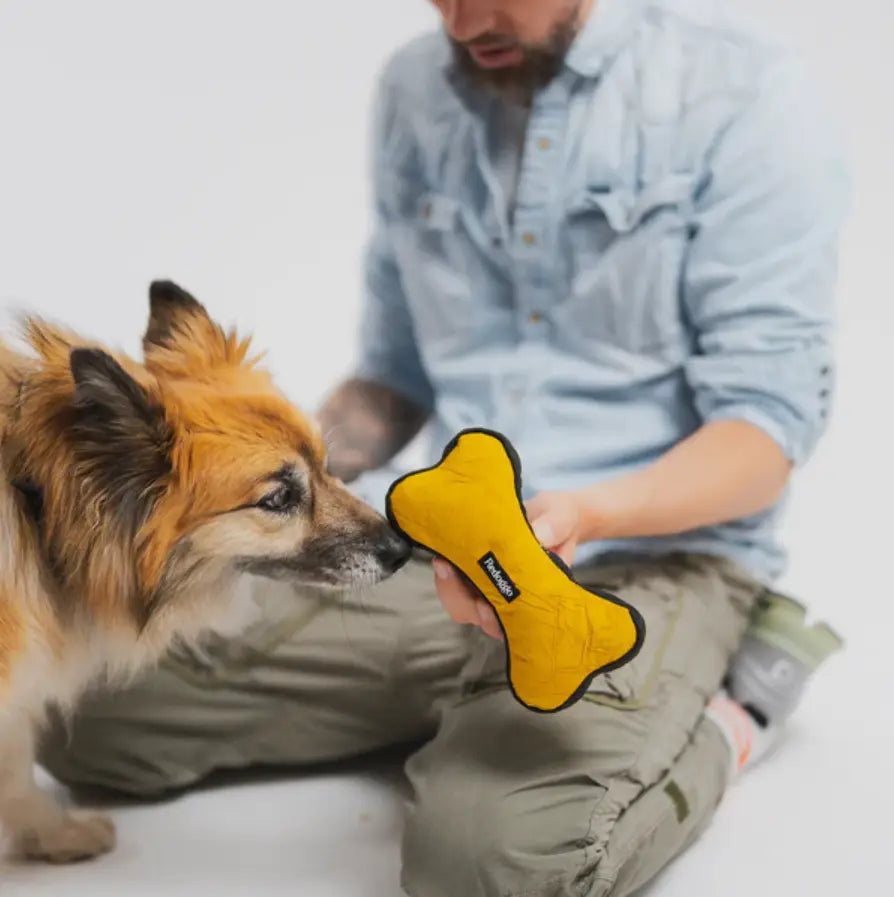 Aktivspielzeug Knochen L von Redoggo