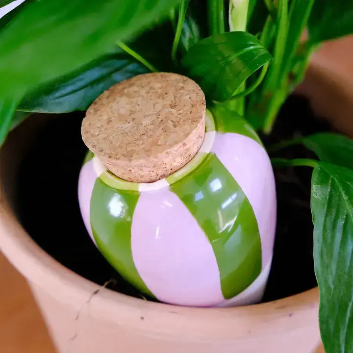 Bewässerungskegel Olla Lila-Grüne Streifen von Pepin