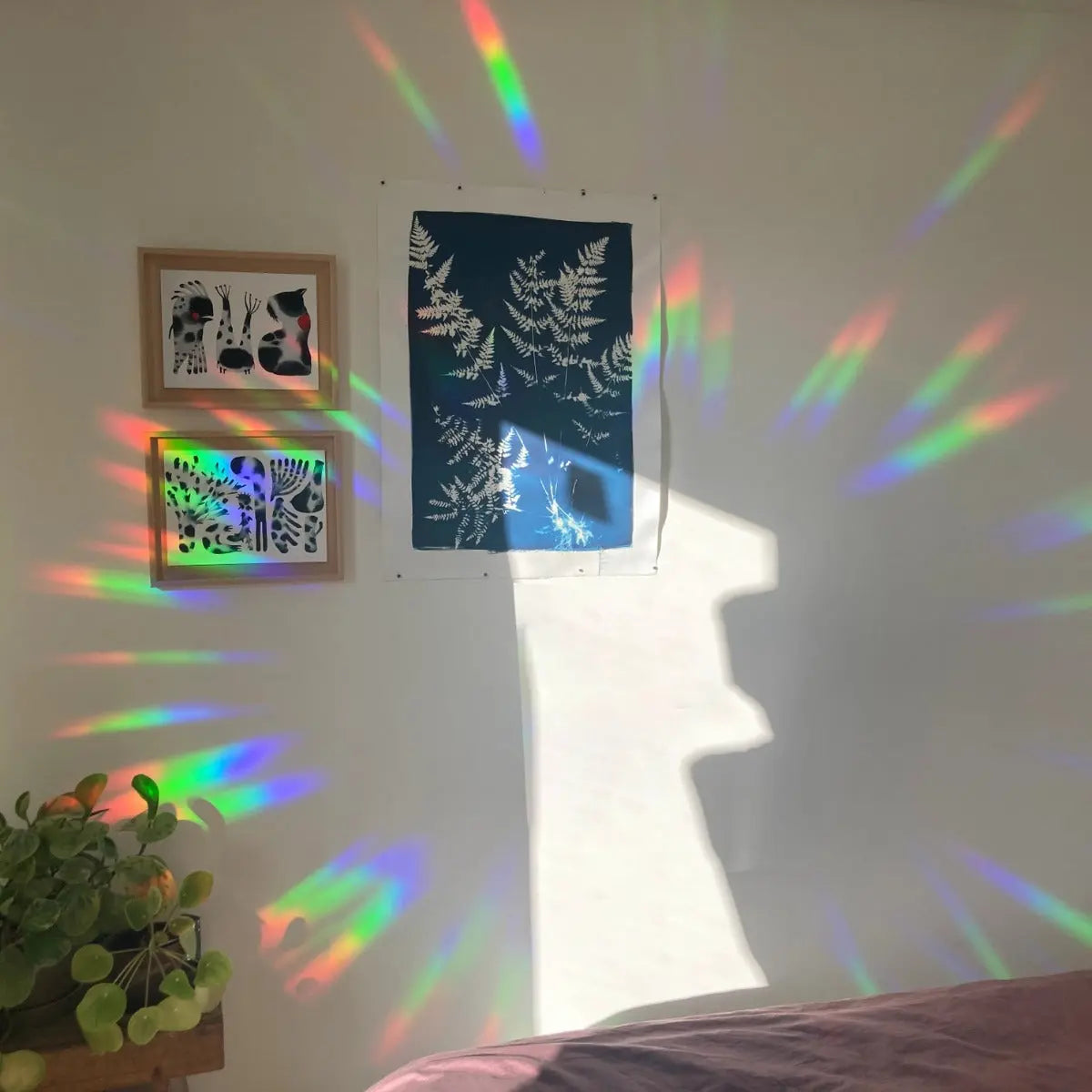 Sonnenfänger Fenstersticker You shine so bright von Botanopia