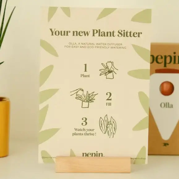 Bewässerungskegel Olla Lila-Grüne Streifen von Pepin