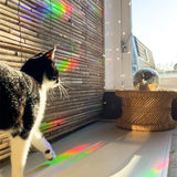 Sonnenfänger Fenstersticker You are my sunshine von Botanopia