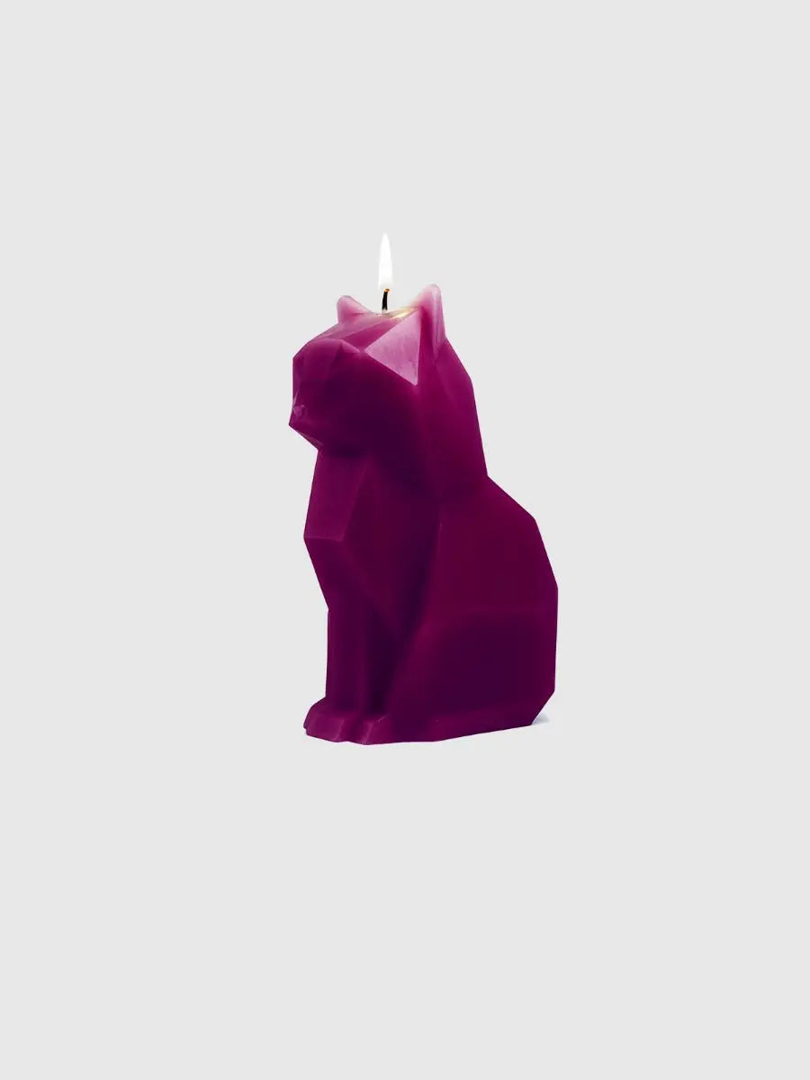 PyroPet Kisa Schwarz von 54Celsius