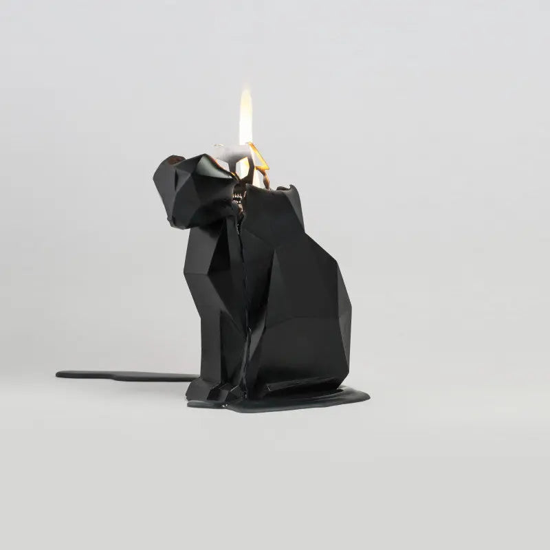 PyroPet Kisa Schwarz von 54Celsius