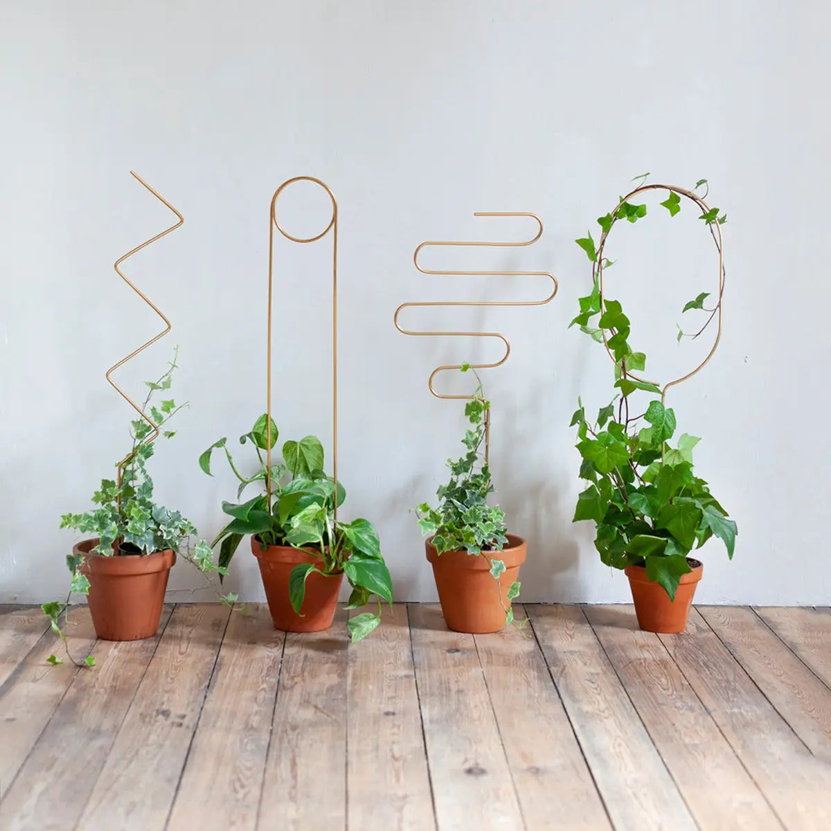 Rankhilfe Squiggle Gold von Botanopia