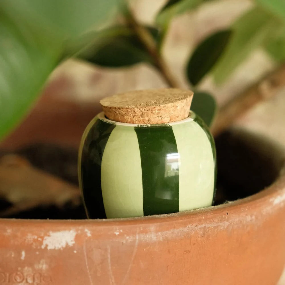 Bewässerungskegel Olla Gestreift Grün & Grün von Pepin
