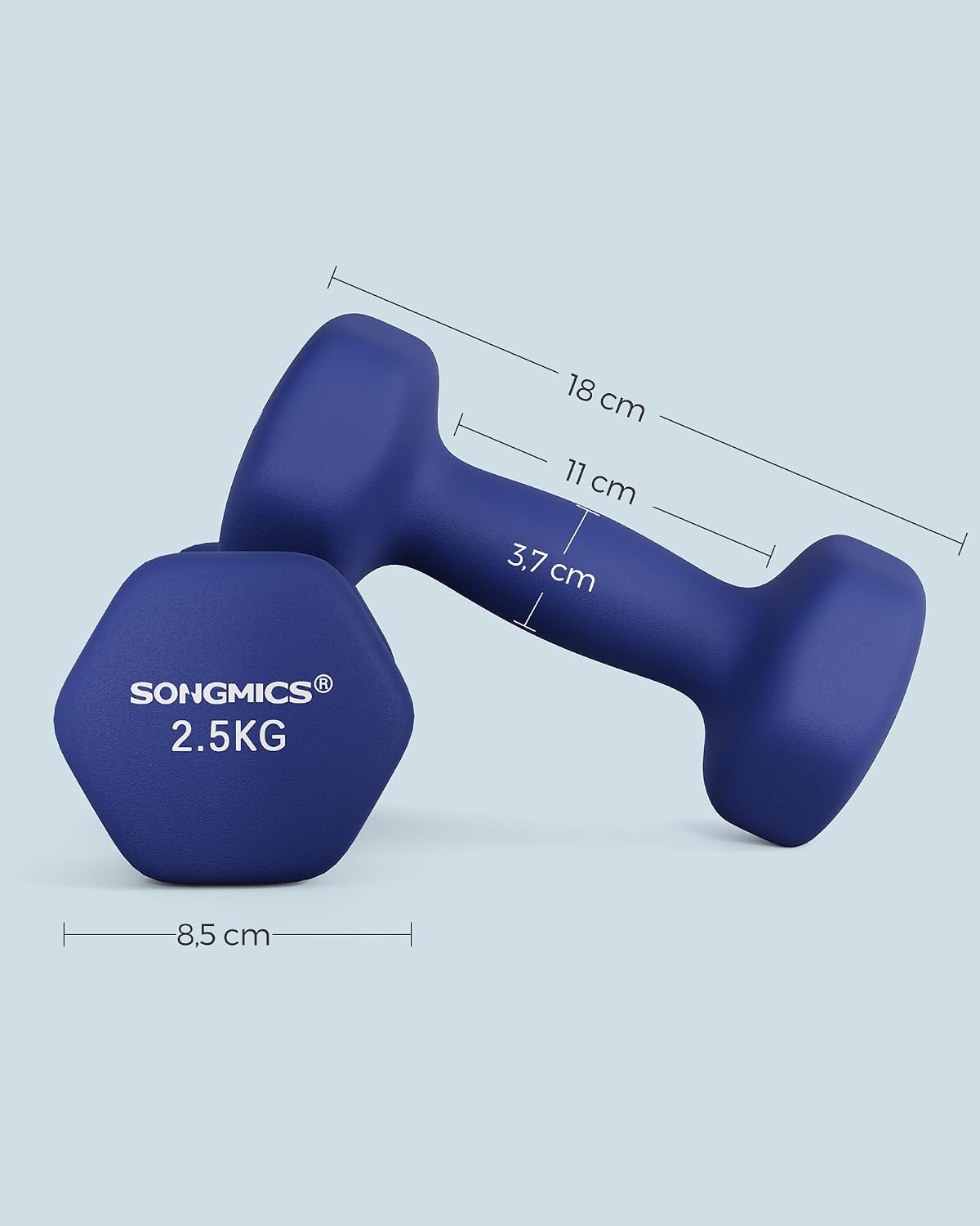 Kurzhantel-Set 2 x 2,5 kg Gusseisen Neopren Quarzblau von Songmics