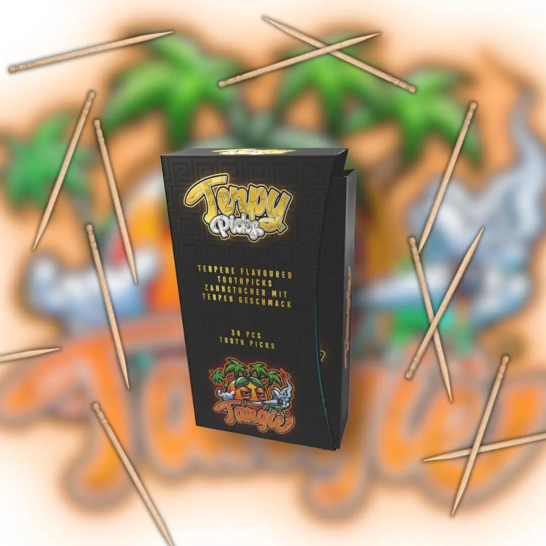 Terpy Picks Zahnstocher mit Geschmack Tangie von Wunder Zahnstocher