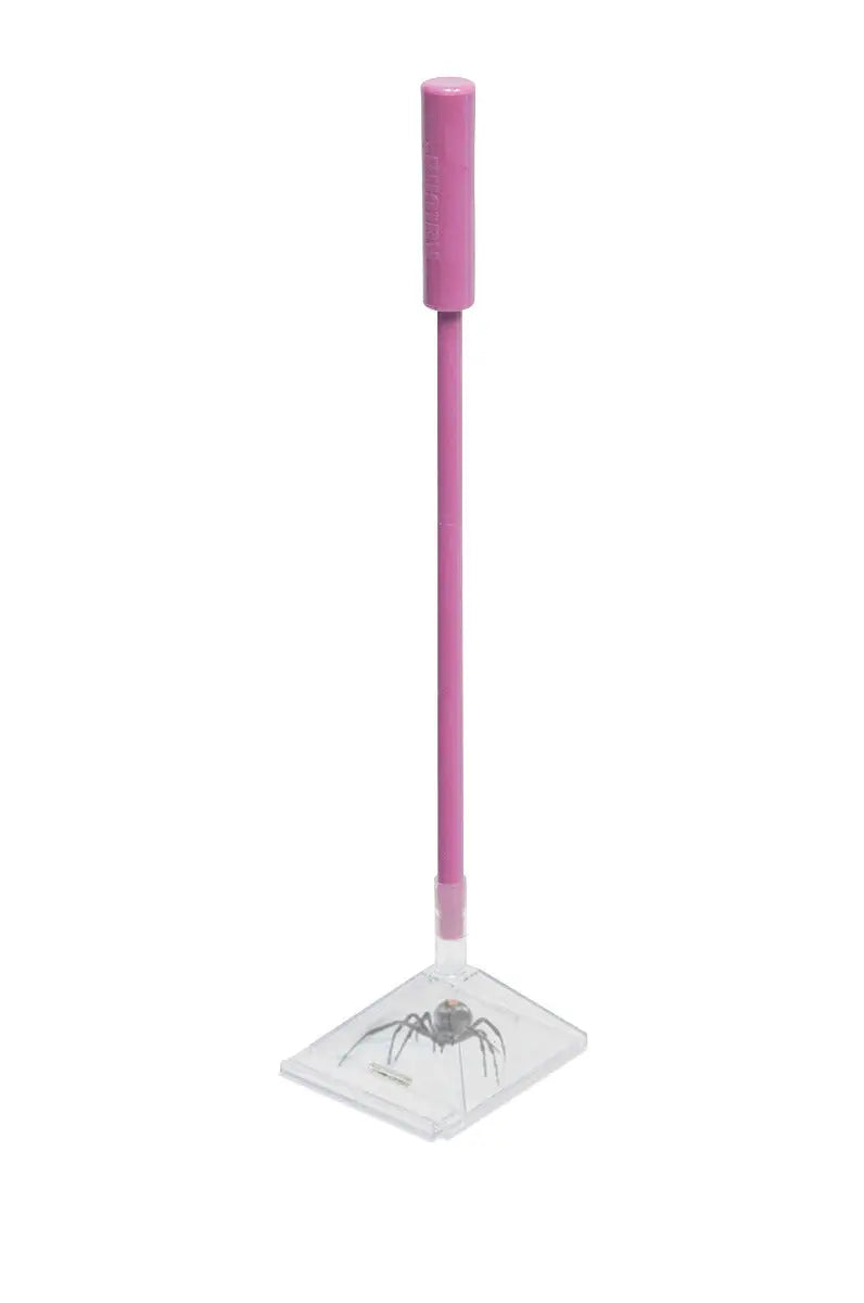 Insektenfänger Pink von Katcha
