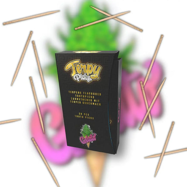 Terpy Picks Zahnstocher mit Geschmack Gelato von Wunder Zahnstocher