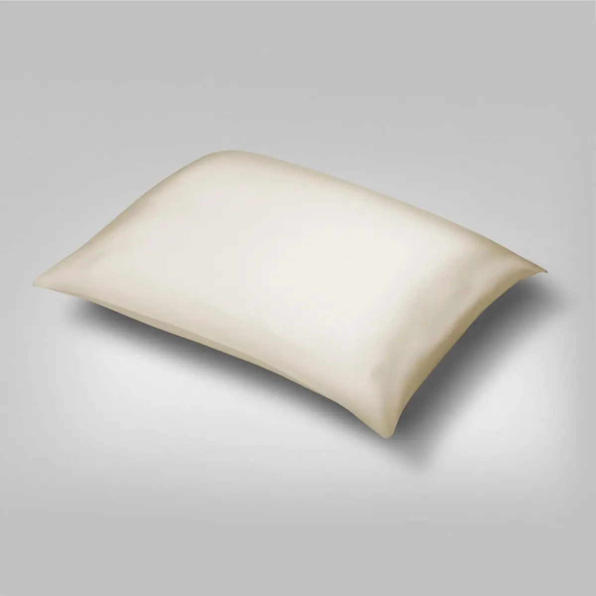 Performance Seiden Kissenbezug 30-Momme-Seide von Dream Recovery