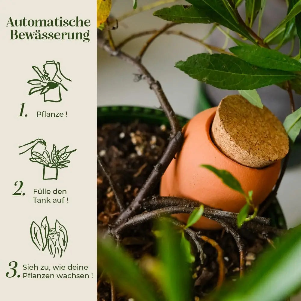 Bewässerungskegel Olla Terrakotta (2er Set) von Pepin