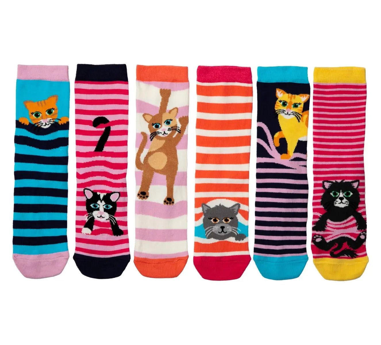 Einzelne Socken im 6er Pack, FELINE GOOD! Bunte Katzen und Streifen, Gr. 37-42, mit Geschenkbox von guteszeug.ch