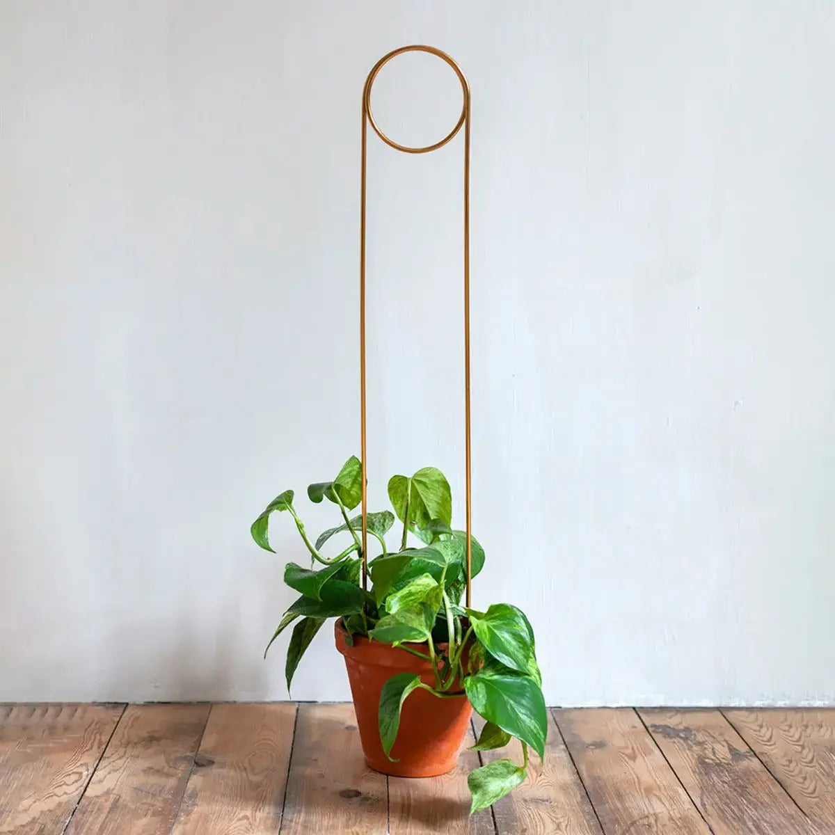 Rankhilfe Pin Gold von Botanopia