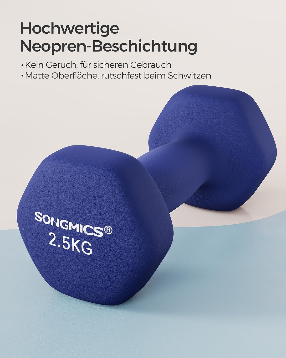 Kurzhantel-Set 2 x 2,5 kg Gusseisen Neopren Quarzblau von Songmics