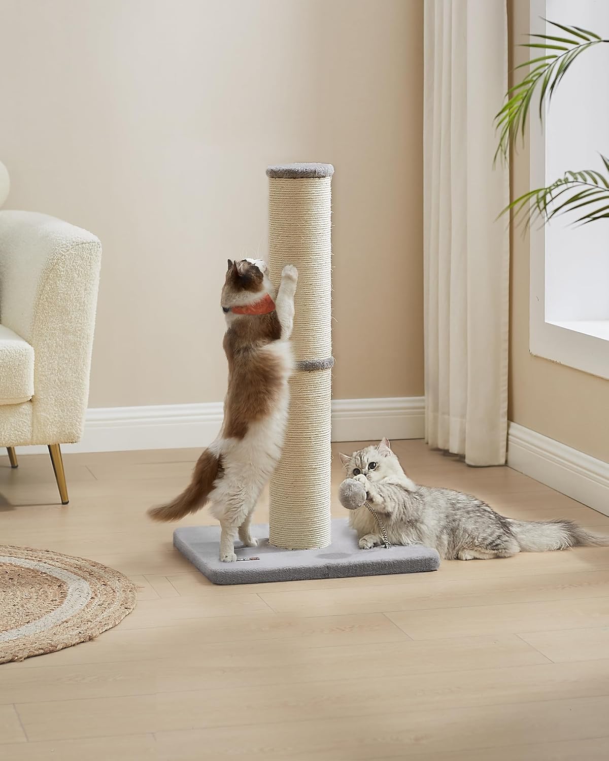Kratzsäule XL 85 cm dicker Stamm für große Katzen Sisal von guteszeug.ch