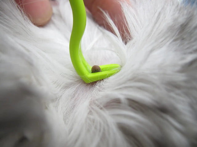 3 Zeckenhaken Beutel Mensch und Tier von Tick Twister