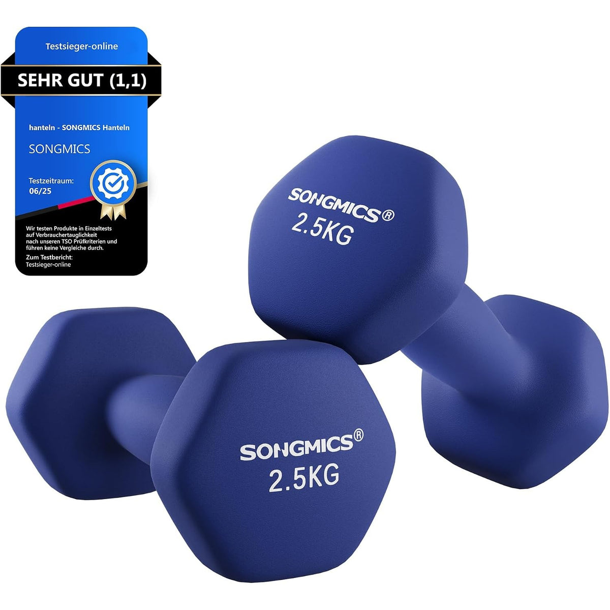Kurzhantel-Set 2 x 2,5 kg Gusseisen Neopren Quarzblau von Songmics