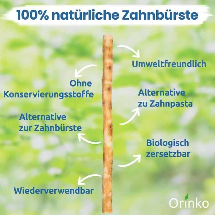 Miswak Natürliche Zahnbürste 5er-Pack inkl. Reisehülle von Orinko