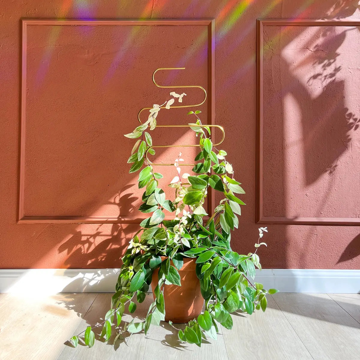 Rankhilfe Squiggle Gold von Botanopia