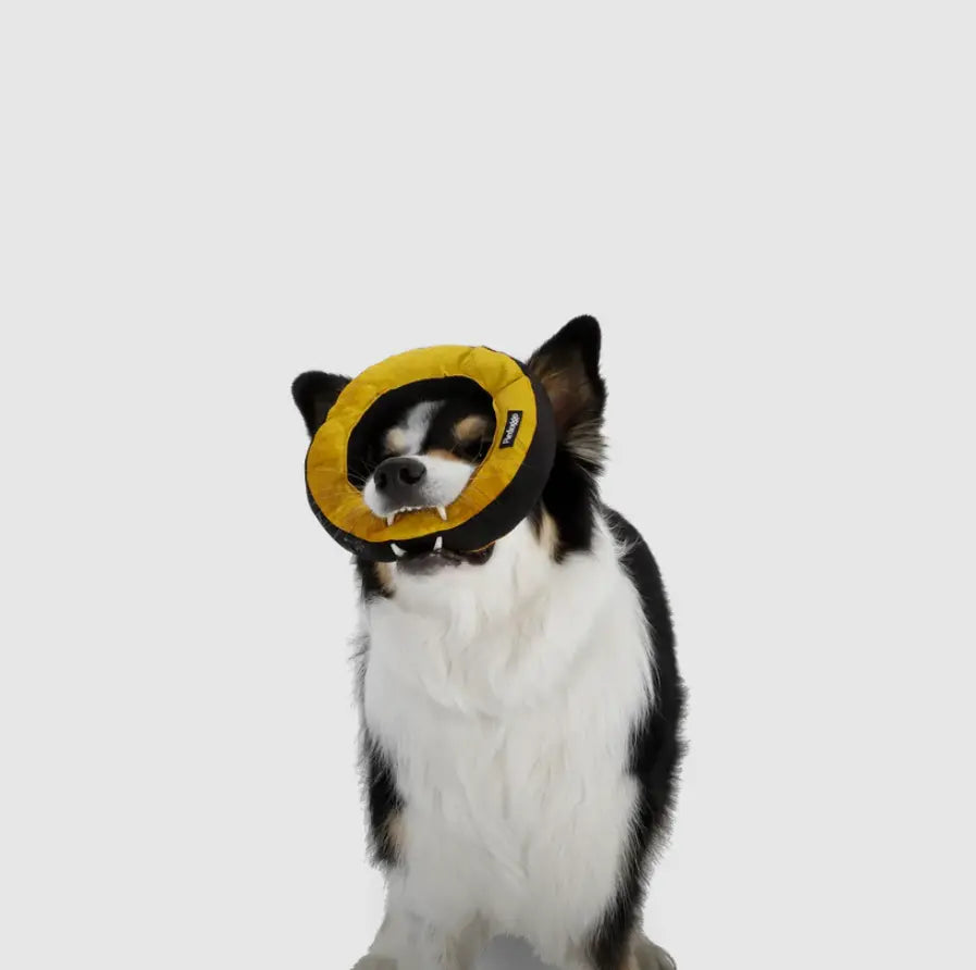 Donut Aktivspielzeug von Redoggo