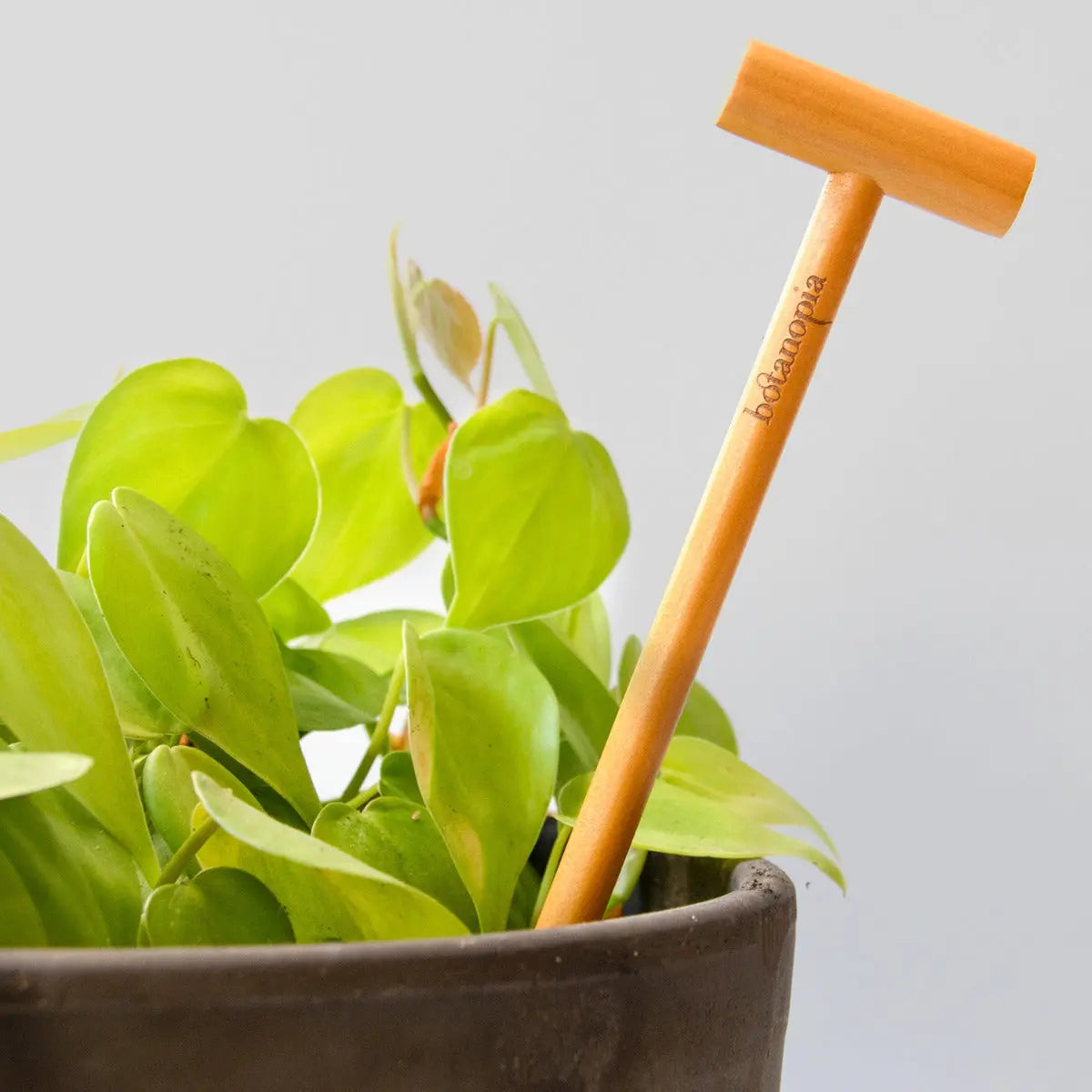 Bodentester Feuchtigkeit von Botanopia
